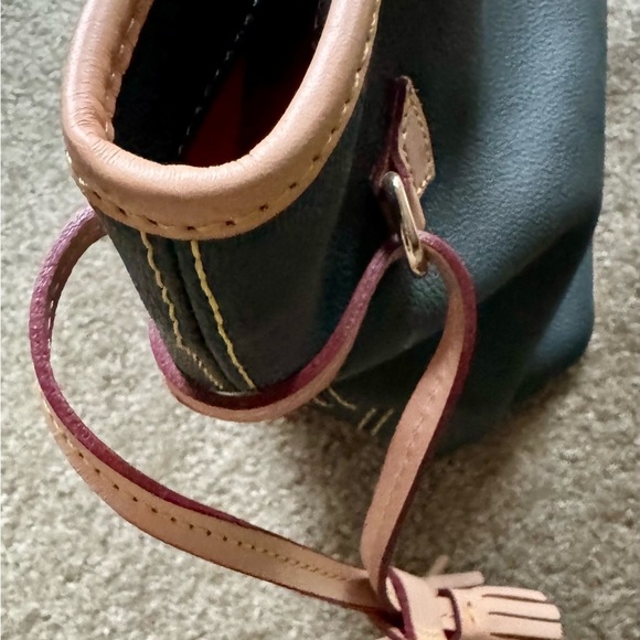 Dooney & Burke Bailey bag en 319 IV (ivy color) - Picture 5 of 14